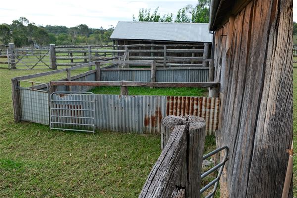 Belgenny Farm (12/04/2023 - Credits: Screen NSW)