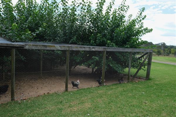 Belgenny Farm (12/04/2023 - Credits: Screen NSW)