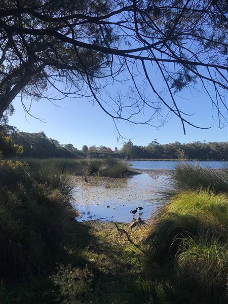 Glenbrook Lagoon (24/05/2023 - Credits: BMCC)