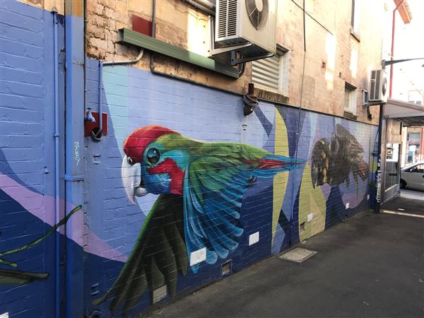 Froma Lane Street Art Gallery (24/05/2023 - Credits: BMCC)