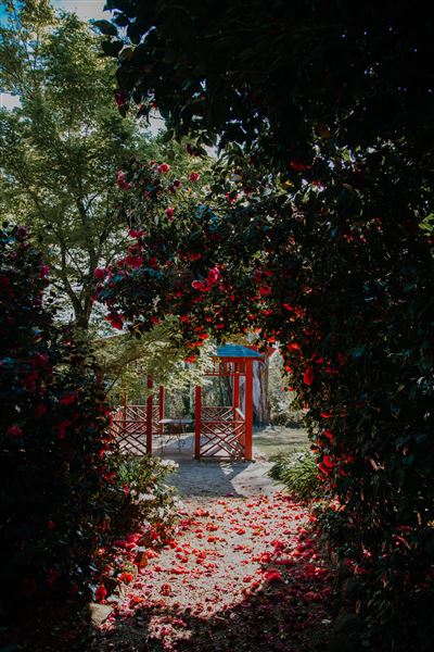 Dennarque Estate (17/07/2018 - Credits: Evan Wang)