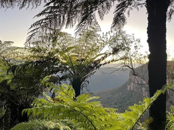 Private House - Govetts Leap Lodge (1/03/2023 - Credits: Philip Nevill)