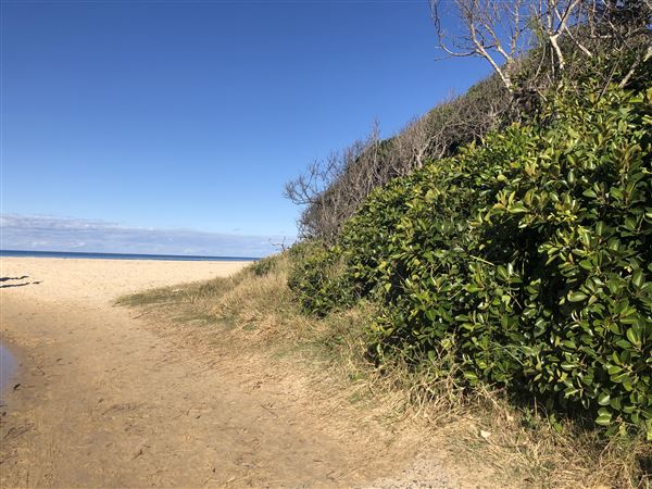 Nambucca Heads Swimming Creek (9/10/2020 - Credits: Shannon Wheeler)