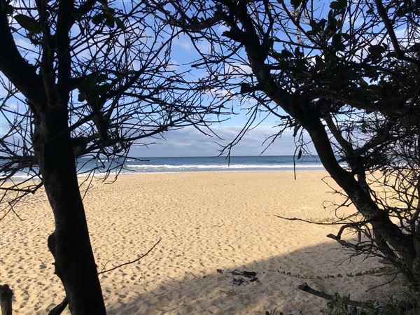 Nambucca Heads Swimming Creek (9/10/2020 - Credits: Shannon Wheeler)