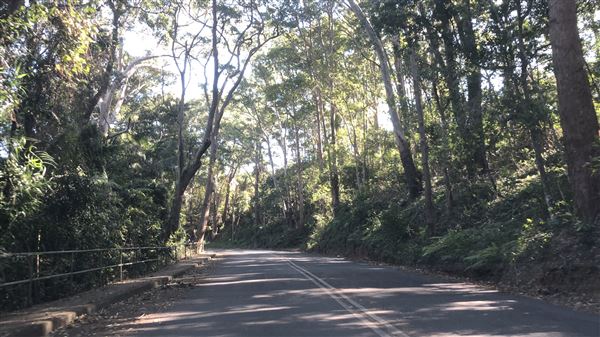 Nambucca Heads (9/10/2020 - Credits: Shannon Wheeler)