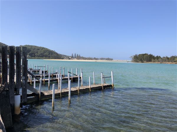 Nambucca Heads (9/10/2020 - Credits: Shannon Wheeler)