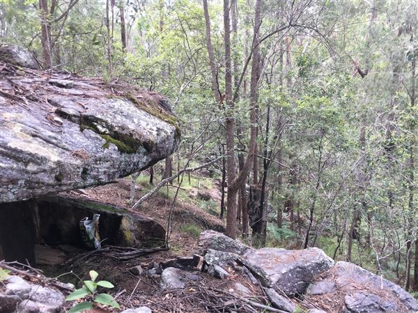 Gurranang pristine bush property (9/11/2023 - Credits: silvana van dijk)