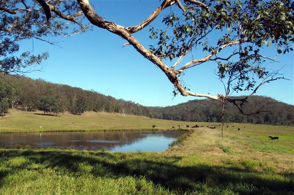 Tocal Farm (23/05/2019 - Credits: Tocal College)