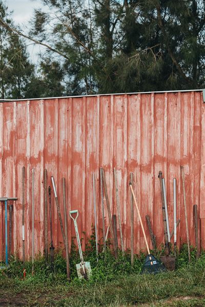Purple Pear Farm (23/06/2021 - Credits: Maitland City Council)