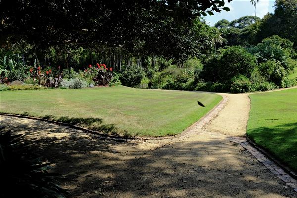 Vaucluse House (27/03/2024 - Credits: Shannon Wheeler)