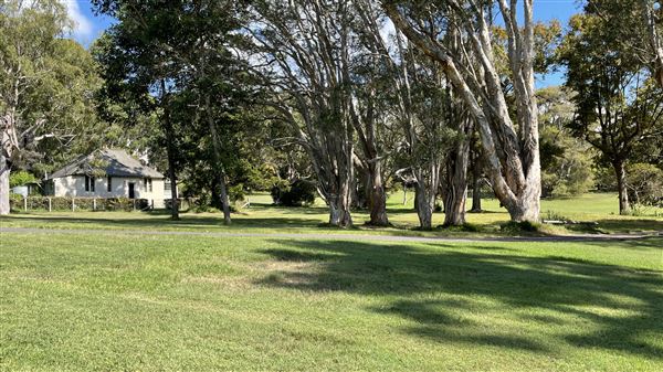 Vaucluse House (27/03/2024 - Credits: Shannon Wheeler)
