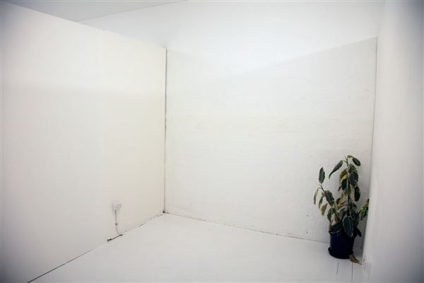 Nauti Studios' Sustainable CoWorking in Sydney (9/06/2024 - Credits: Nauti Studios)