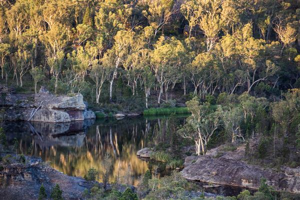 Dunns Swamp (1/07/2024 - Credits: Mudgee Tourism)