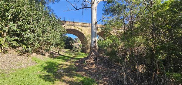 Stonequarry Creek Railway Viaduct (9/06/2024 - Credits: Kim McGuinness & Kersti Martin)