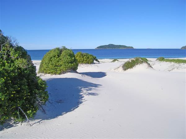 Bennetts Beach (26/02/2013 1:04:31 PM)
