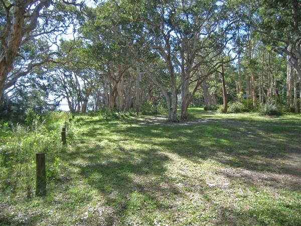 Northern Broadwater Picnic Area (26/02/2013 4:37:11 PM)