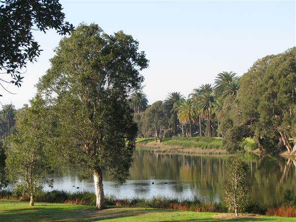 Centennial Park (27/02/2013 10:46:13 AM)
