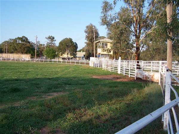 Coonabarabran (27/02/2013 1:29:10 PM)