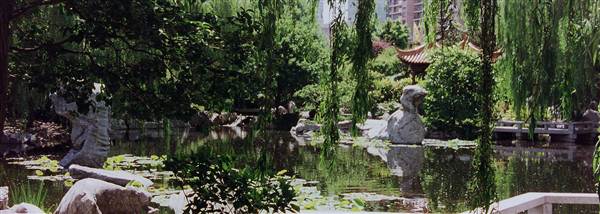 Chinese Garden of Friendship - Darling Harbour (27/02/2013 1:30:42 PM)
