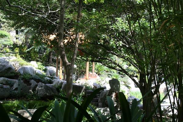 Chinese Garden of Friendship - Darling Harbour (27/02/2013 1:33:48 PM)