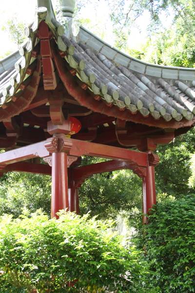 Chinese Garden of Friendship - Darling Harbour (27/02/2013 1:35:41 PM)