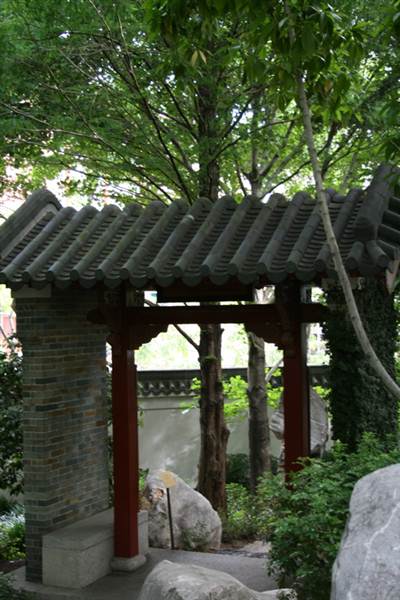 Chinese Garden of Friendship - Darling Harbour (27/02/2013 1:36:55 PM)