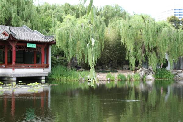 Chinese Garden of Friendship - Darling Harbour (27/02/2013 1:38:33 PM)