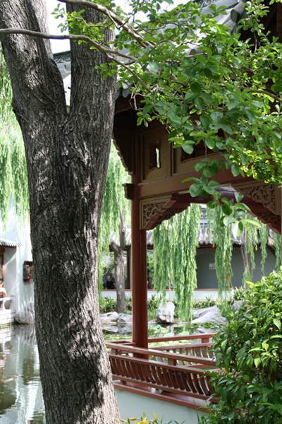 Chinese Garden of Friendship - Darling Harbour (27/02/2013 1:40:12 PM)