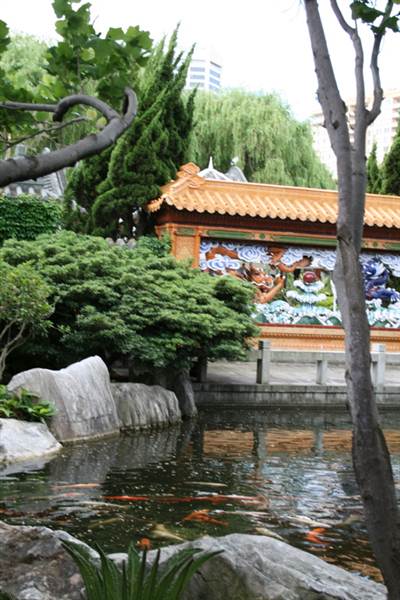 Chinese Garden of Friendship - Darling Harbour (27/02/2013 1:40:55 PM)
