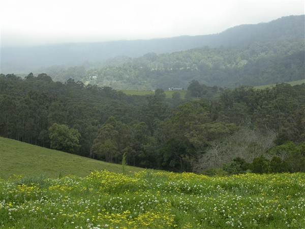 Jamberoo Farm (27/02/2013 2:36:09 PM)