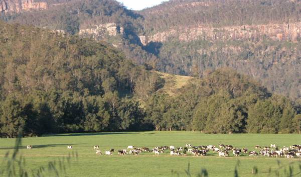Kangaroo Valley (27/02/2013 4:06:17 PM)