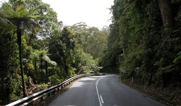 Kangaroo Valley (27/02/2013 4:06:33 PM)