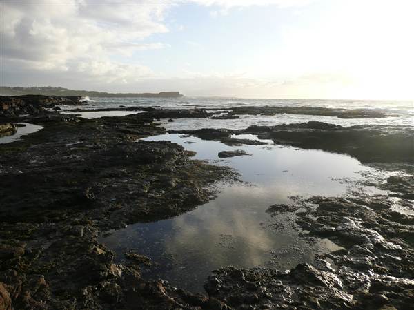 Kiama - Rock Pool North (27/02/2013 4:56:18 PM)