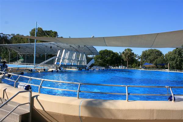 Dolphin Marine Magic (27/02/2013 10:43:42 PM)