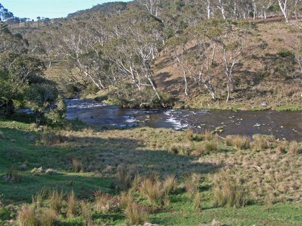 Dorrigo - General (27/02/2013 10:53:01 PM)