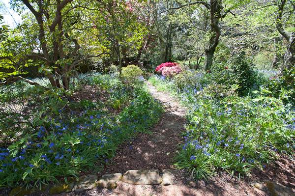 Lady Fairfax Gardens (28/02/2013 10:11:18 AM)