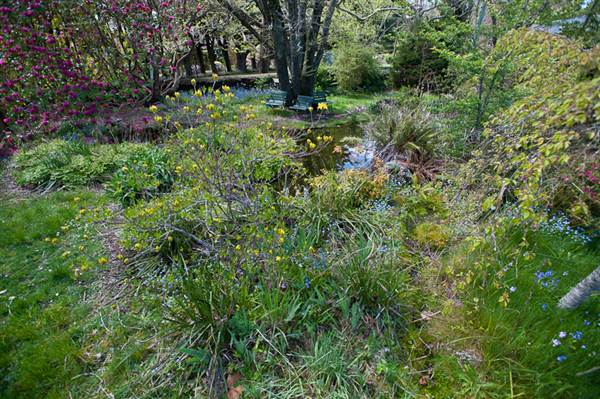 Lady Fairfax Gardens (28/02/2013 10:11:51 AM)