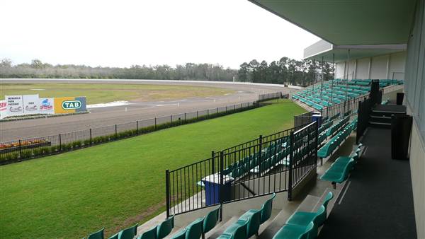 Menangle Park Paceway (28/02/2013 3:30:44 PM)