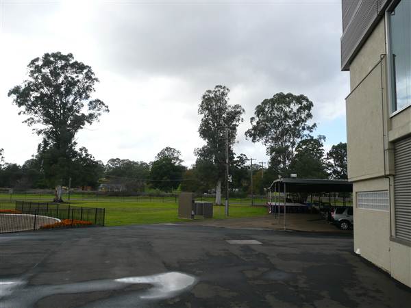 Menangle Park Paceway (28/02/2013 3:33:38 PM)
