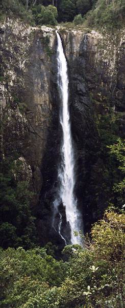 Ellenborough Falls (28/02/2013 4:33:29 PM)