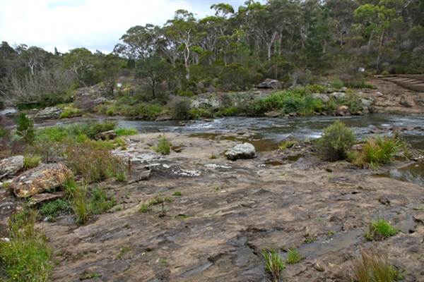 Berrima Reserve (28/02/2013 9:35:16 PM)