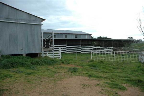 Boorowa (1/03/2013 11:30:06 AM)