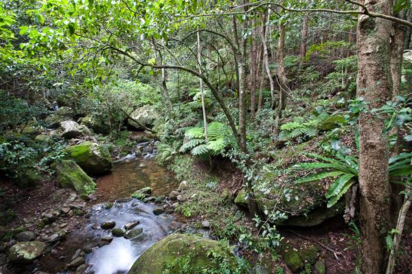 Jamberoo (1/03/2013 11:34:57 AM)
