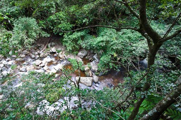 Jamberoo (1/03/2013 11:35:26 AM)