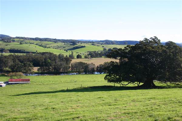 Jamberoo (1/03/2013 11:37:08 AM)