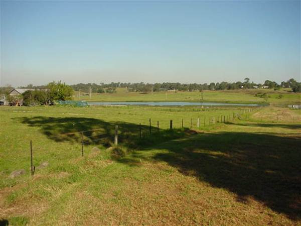 Box Hill & Oakville (1/03/2013 11:55:09 AM)