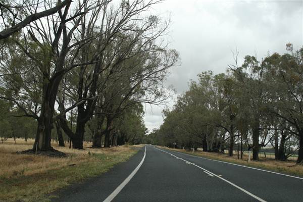 Wagga Wagga (1/03/2013 12:05:06 PM)