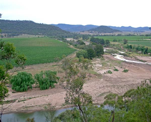 Broke vineyards (1/03/2013 12:15:12 PM)