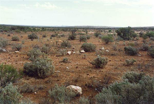 Broken Hill Area (Inc. Silverton) (1/03/2013 8:00:08 PM)