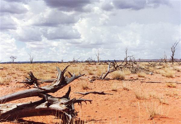 Broken Hill Area (Inc. Silverton) (1/03/2013 8:01:38 PM)
